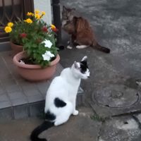 リリーヤ 会員画像