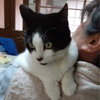 さくらだいすきさん