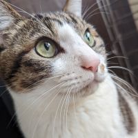 シャンくん。さん