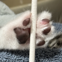 ルデン 会員画像