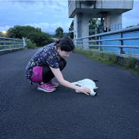 ぱんだぴさん