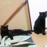 みずは 会員画像