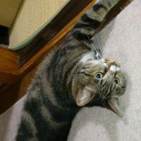 ゆきち0708 会員画像