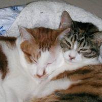 emasuken 会員画像