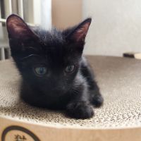 花屋のノンちゃんさん