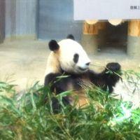 会員画像