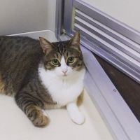 harrさん