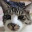 たまくん