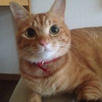 まゆ3 会員画像