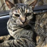 ウエ 会員画像
