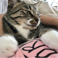 Whitesocks 会員画像