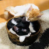 らびぃ! 会員画像