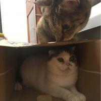会員画像