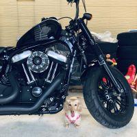 ゆうと0417 会員画像