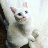 kayo45さん
