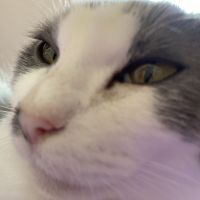 みず83 会員画像