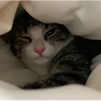 けいさんぽ 会員画像