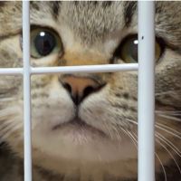 くまのプー 会員画像