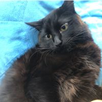 はなぶんくん 会員画像