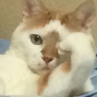 アキラ先輩 会員画像