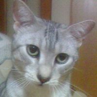 バンデラス 会員画像