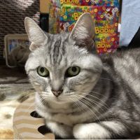 ゆー子 会員画像