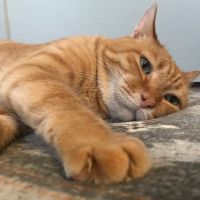 うなたろう 会員画像