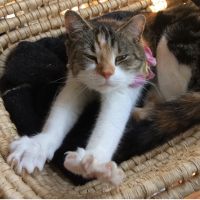 リュウ2241 会員画像