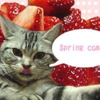 藤村夏穂 会員画像