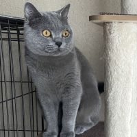 うめぼし神さん