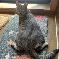 ちーくーママさん
