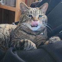 ともちゃんみさん