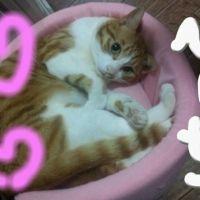 ひーちゃんぽ 会員画像