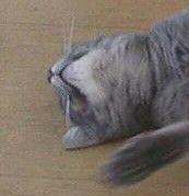 ミゾミゾ 会員画像