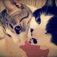ほたるのしっぽ 会員画像