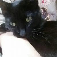 ナナち 会員画像