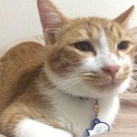 うぉちそん 会員画像