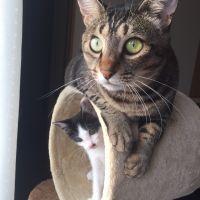 amu.918 会員画像