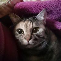 ウマコ 会員画像