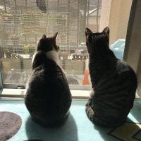 会員画像
