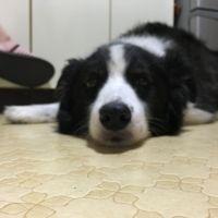 kumisakikana7 会員画像