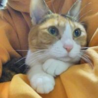 ゆかかゆ 会員画像