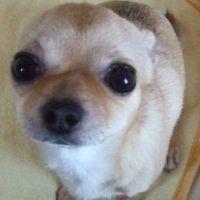 もみむ 会員画像