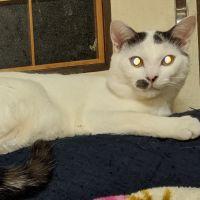 おーだ。 会員画像