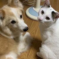 会員画像