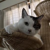 会員画像