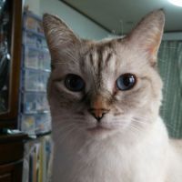 会員画像