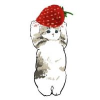 ネコキャッ 会員画像