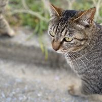 Viviyunsさん