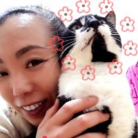 meiniau 会員画像